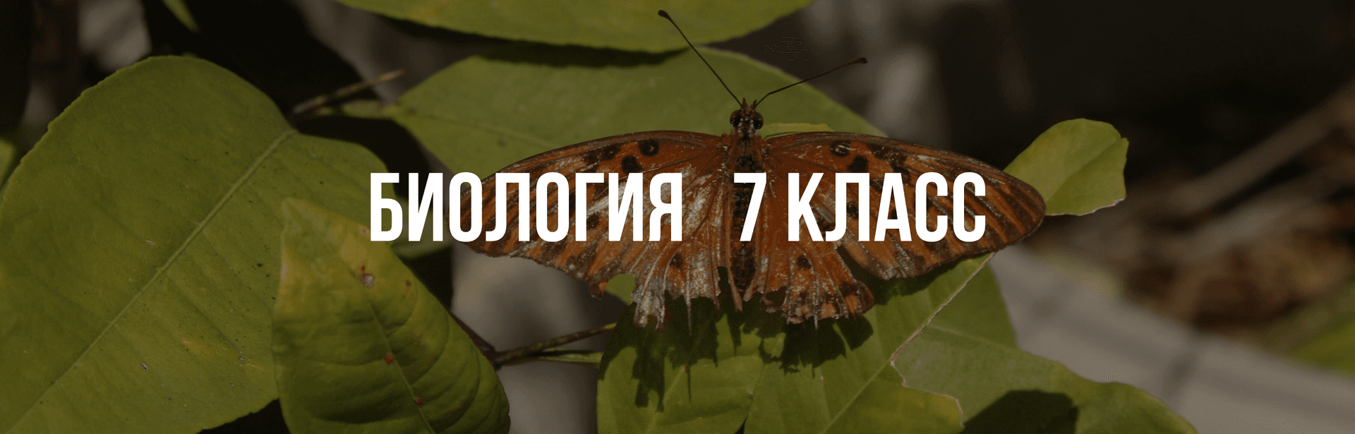 Биология 7 класс